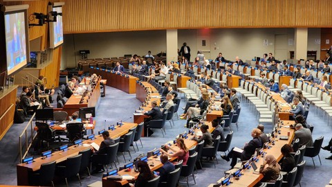Pertemuan di Komite 4 Majelis Umum PBB, di New York. Foto: Dok. stimewa