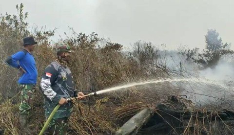 Petugas Memadamkan Api di Lokasi Karhutla di Kabupaten Mempawah. Foto: Muhammad Zain