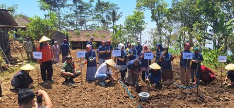 PNM beri 10 ribu bibit unggul untuk petani.