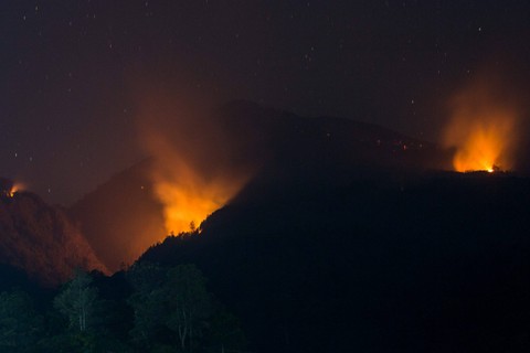 Kobaran api membakar hutan dan lahan (Karhutla) Gunung Lawu di Jenawi, Karanganyar, Jawa Tengah, Jumat (6/10/2023) malam. Foto: Mohammad Ayudha/Antara Foto
