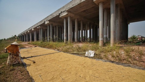 Seorang petani yang sedang mengolah padi di tengah ancaman kenaikan suhu panas ekstrem akibat musim kemarau panjang yang terjadi di Kota Palembang, Sabtu (7/10) Foto: ary priyanto/urban id