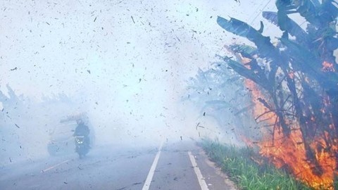 Suasana kebakaran hutan dan lahan yang menghanguskan sejumlah pohon di jalur lintas Sumatera, Ogan Ilir, Sumsel, sempat membuat pengguna jalan panik, Foto: ary priyanto/urban id