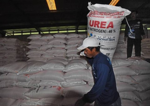 Ilustrasi pupuk UREA. Foto: Asep Fathulrahman/ANTARA FOTO