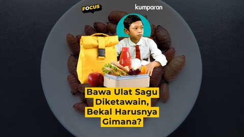 Cover Focus collection bawa bekal ulat sagu. Foto: kumparan