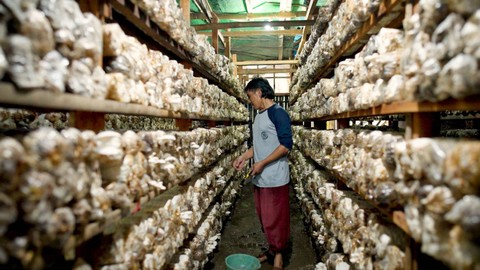 Desa BRILian dorong ekonomi petani hingga pelaku UMKM di desa-desa. Foto: BRI