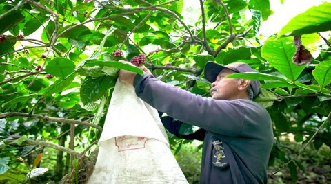 Desa BRILian dorong ekonomi petani hingga pelaku UMKM di desa-desa. Foto: BRI