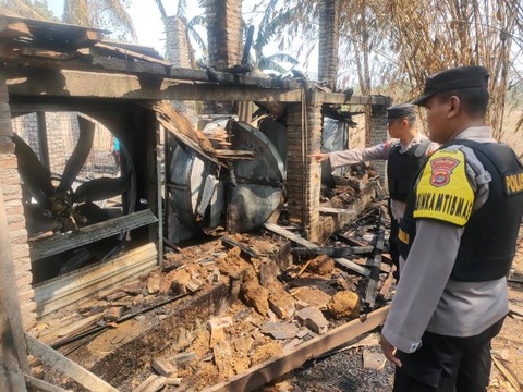 Kandang ayam di Pekon Pandansari Selatan, Kecamatan Sukoharjo, Kabupaten Pringsewu hangus terbakar. | Foto: Dok Polres Pringsewu
