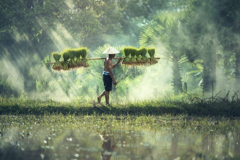 Ilustrasi kunci jawaban bahasa indonesia kelas 12 halaman 117. Sumber: pexels/pixabay