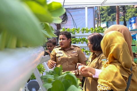 BRI Peduli Bertani di Kota (BRInita) bantu warga di Kelurahan Gurabesi, Kota Jayapura, bertani di lahan sempit. Dok BRI