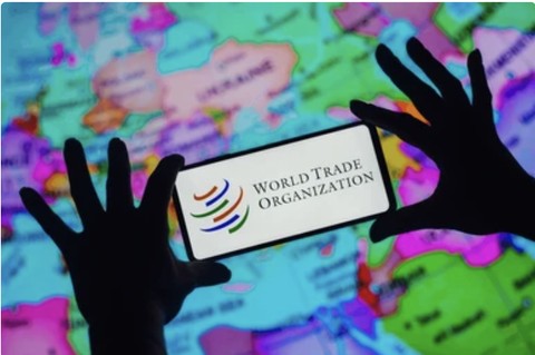 Ilustrasi Kelemahan WTO. Sumber Gambar: Shutterstock