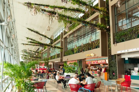 Bandara Changi Singapura hadirkan suasana baru di Terminal 2. Foto: Dok. Bandara Changi Singapura