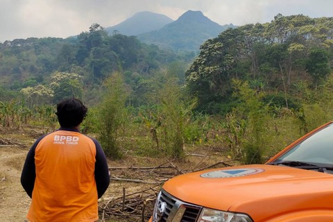 Kebakaran hutan dan lahan (karhutla) melanda Gunung Penanggungan, Mojokerto.  Foto: BPBD Jatim