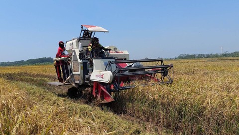Alsintan (alat mesin pertanian) yang sangat mempengaruhi produksi dan hasil padi. Foto: Dok. Pribadi