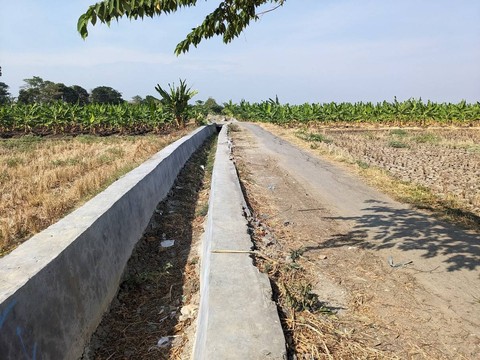 Penyiapan lahan irigasi saat musim kemarau. Foto: Dok. pribadi