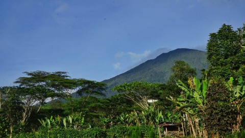 Lanskap gunung dempo Pagar Alam Sumatera Selatan yang menyimpan potensi kopi dengan lahannya yang subur, Minggu (5/11) Foto: ary priyanto/urban id