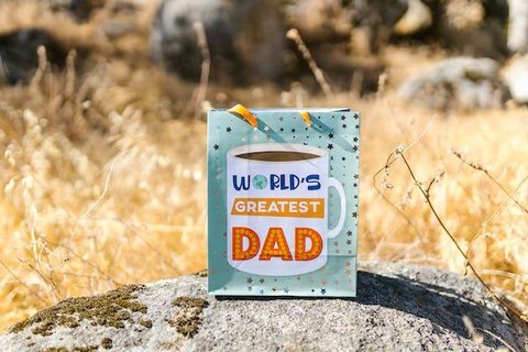 Ilustrasi kado yang cocok untuk hari ayah - Sumber: pexels.com/@rdne/