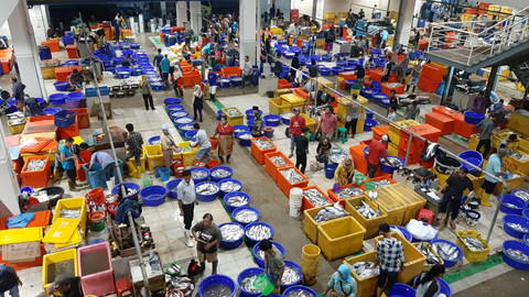 Ilustrasi pasar ikan bersih di Muara Baru, Jakarta Foto: Kristina Ismulyani/Shutterstock