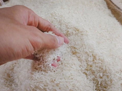 Ilustrasi bareh solok. Sumber: https://www.istockphoto.com