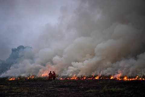 Melawan Api - Personel Manggala Agni Daops Banyuasin berupaya memadamkan kebakaran lahan di Desa Muara Dua, Ogan Ilir (OI). Foto: Nova Wahyudi/Antara Foto