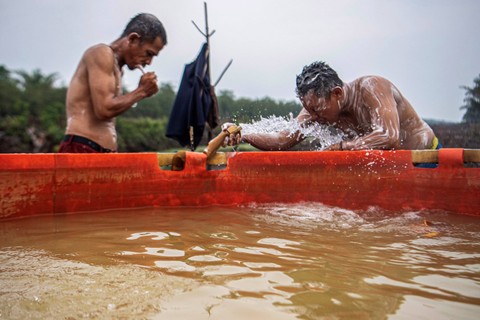 Mandi Air Rawa - Personel Manggala Agni mandi dengan air rawa di lokasi perkemahan di Desa Jungkal, Ogan Komering Ilir (OKI). Foto: Nova Wahyudi/Antara Foto