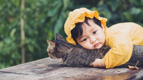 Ilustrasi balita bermain dengan kucing. Foto: BoneStocker/Shutterstock