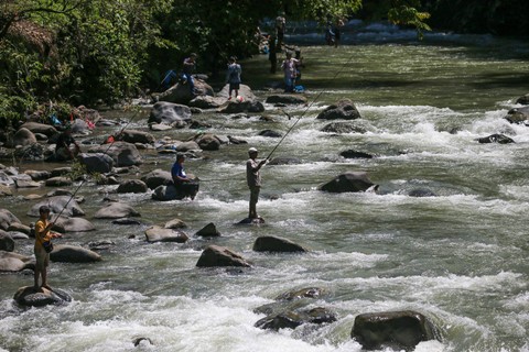 Sejumlah warga mancing ikan pada acara Lubuk Larangan di Kabupaten Tapanuli Selatan, provinsi Sumatera Utara, Sabtu (18/11). Foto: Aditia Noviansyah/kumparan