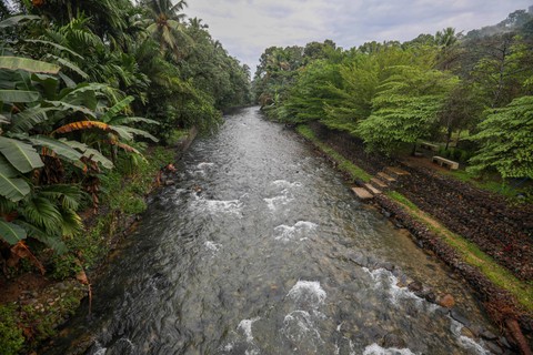 Warga mencuci pakaian di sungai Garoga, kecamatan Batang Toru yang dijadikan lokasi Lubuk Larangan di Desa Garoga, Kabupaten Tapanuli Selatan, provinsi Sumatera Utara, Sabtu (18/11). Foto: Aditia Noviansyah/kumparan