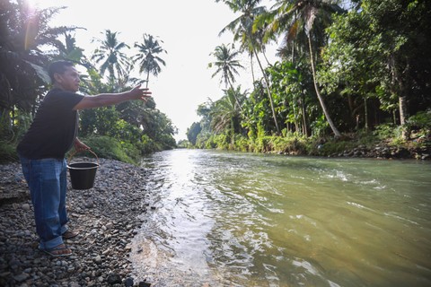 Kepala Desa Garoga Risman Rambe memberi pakan makan ikan di sungai Garoga, kecamatan Batang Toru yang dijadikan lokasi Lubuk Larangan di Desa Garoga, Kabupaten Tapanuli Selatan, provinsi Sumatera Utara, Sabtu (18/11). Foto: Aditia Noviansyah/kumparan