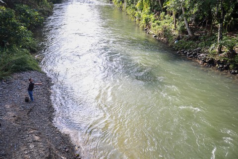 Warga memberi pakan makan ikan di sungai Garoga, kecamatan Batang Toru yang dijadikan lokasi Lubuk Larangan di Desa Garoga, Kabupaten Tapanuli Selatan, provinsi Sumatera Utara, Sabtu (18/11). Foto: Aditia Noviansyah/kumparan