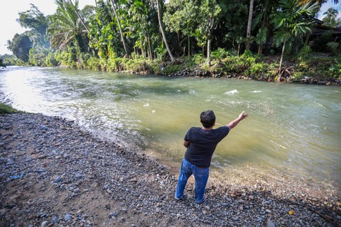Kepala Desa Garoga Risman Rambe memberi pakan makan ikan di sungai Garoga, kecamatan Batang Toru yang dijadikan lokasi Lubuk Larangan di Desa Garoga, Kabupaten Tapanuli Selatan, provinsi Sumatera Utara, Sabtu (18/11). Foto: Aditia Noviansyah/kumparan