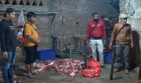 Polres Magetan menyita 380 kilogram daging sapi gelonggongan di sebuah rumah pemotongan hewan di Desa Pupus, Kecamatan Lembeyan, Kabupaten Magetan. Foto: Polres Magetan