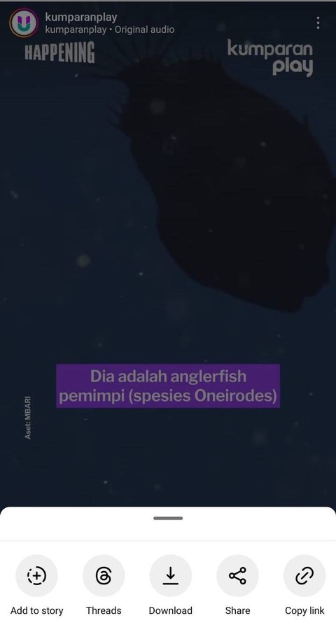 Tombol Download (bagian tengah bawah) berfungsi untuk mengunduh video Reels secara langsung dari Instagram. Foto: kumparan
