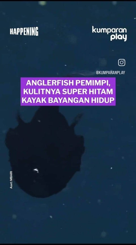 Watermark bergerak dinamis di kanan tas dan kiri bawah video untuk menandai akun yang mengunggah video Reels Instagram. Foto: kumparan