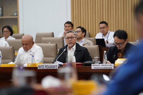 Mendag Zulhas saat rapat kerja dengan Komisi VI DPR.   Foto: Kemendag