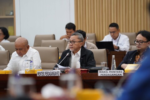 Mendag Zulhas saat rapat kerja dengan Komisi VI DPR.   Foto: Kemendag