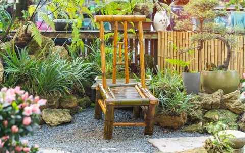 Ilustrasi Jenis Bambu Yang Baik Untuk Mebel, Foto: Unsplash/kynny.