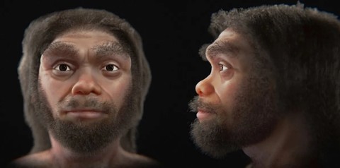Hasil rekonstruksi wajah manusia naga, kerabat dekat manusia modern.  Foto: Cicero Moraes 