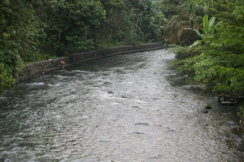 Warga mencuci piring di sungai Garoga, kecamatan Batang Toru yang dijadikan lokasi Lubuk Larangan di Desa Garoga, Kabupaten Tapanuli Selatan, provinsi Sumatera Utara, Sabtu (18/11). Foto: Aditia Noviansyah/kumparan