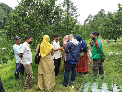 Ilustrasi kegiatan wisatawan di kebun buah. Sumber: Dokumen pribadi