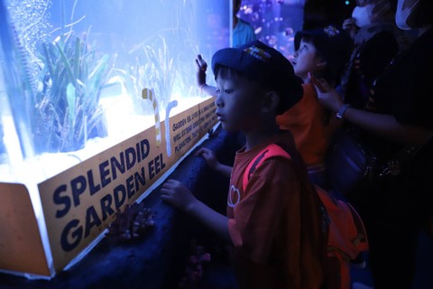 Anak-anak dan orang tua yang tergabung dalam Rumah Harapan Indonesia (RHI) melihat hewan-hewan yang ada di Jakarta Aquarium & Safari, Jakarta, Rabu (13/12/2023). Foto: Iqbal Firdaus/kumparan