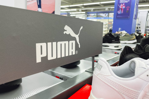 Ilustrasi Puma. Foto: Shutterstock
