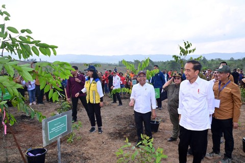 Presiden Jokowi memantau pembangunan miniatur hutan hujan tropis di Ibu Kota Negara (IKN) Nusantara seluas 96 hektar, Rabu (20/12/2023). Foto: KEMENTERIAN SEKRETARIAT NEGARA REPUBLIK INDONESIA
