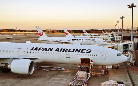 Ilustrasi Japan Airlines. Foto: Shutterstock