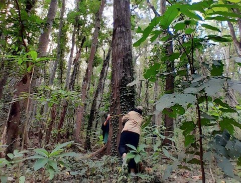 Tim KKN ITS saat mengeksplor hutan Alas Purwo. Foto: Humas ITS