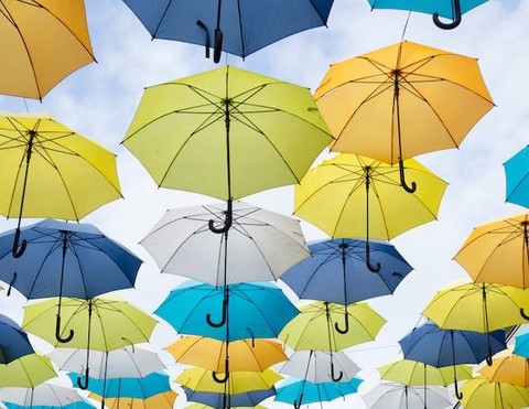 Ilustrasi Buatlah Kalimat dengan Kata Payung. Sumber: Unsplash/Wim Van T Eind