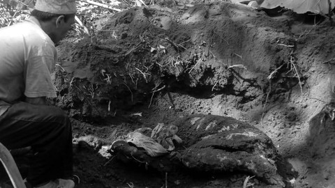 Penemuan mayat di kebun jati, Desa Andongsari, Kecamatan Ambulu, Jember, Minggu (14/1/2024). Foto: Dok. Istimewa