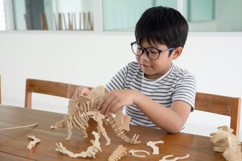 Ilustrasi anak suka dinosaurus. Foto: behindthemirror/Shutterstock