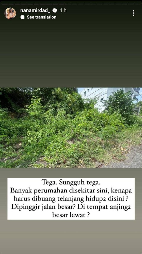 Postingan Nana Mirdad selamatkan bayi yang ditemui di dekat rumahnya. Foto: instagram/@nanamirdad_