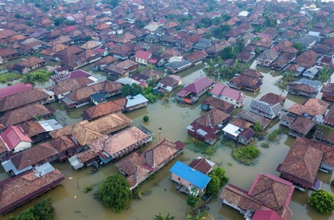 Foto udara kawasan permukiman di Seberang Kota Jambi (Sekoja) yang terendam banjir di Jambi, Rabu (24/1/2024). Foto: Wahdi Septiawan/ANTARA FOTO