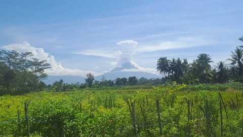 Gunung Merapi, Kamis (25/1/2024). Foto: Dok. Istimewa